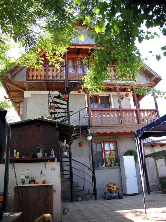 Casa Oana Hotel Sulina Exterior photo